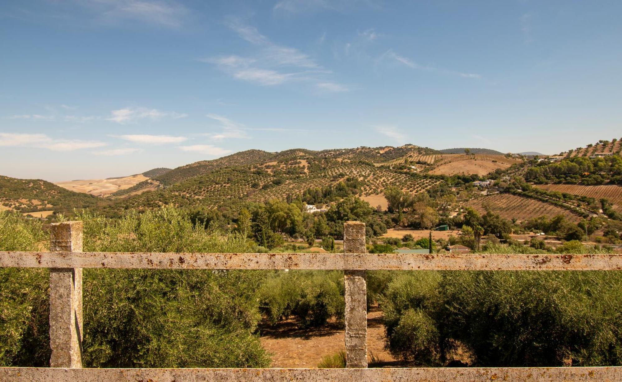 Casa Rural El Carmen Prado del Rey Kültér fotó