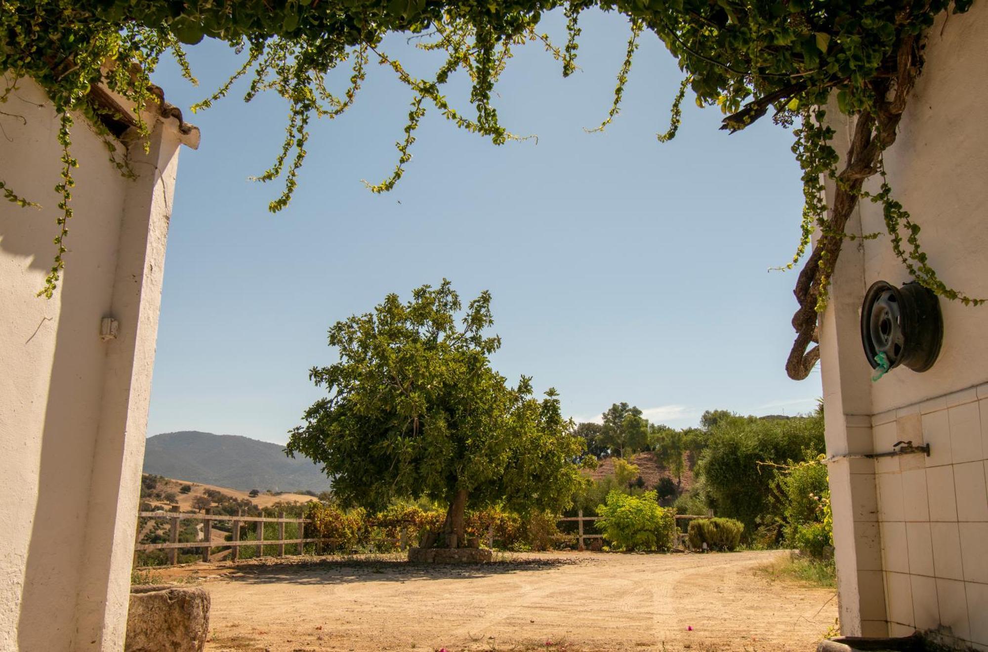 Casa Rural El Carmen Prado del Rey Kültér fotó