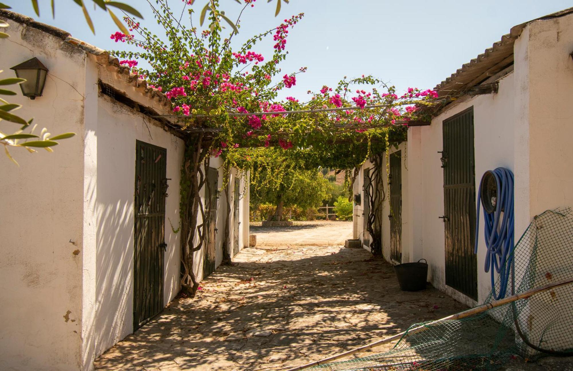 Casa Rural El Carmen Prado del Rey Kültér fotó